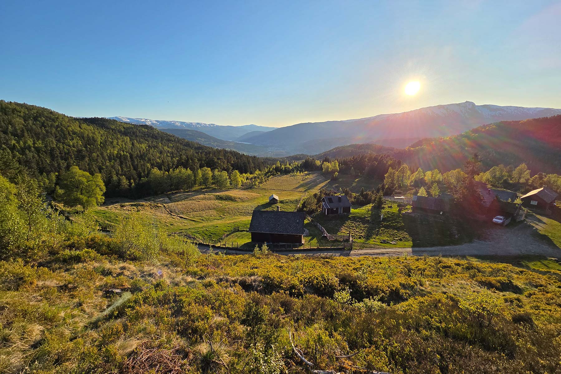 20250517_205326-full